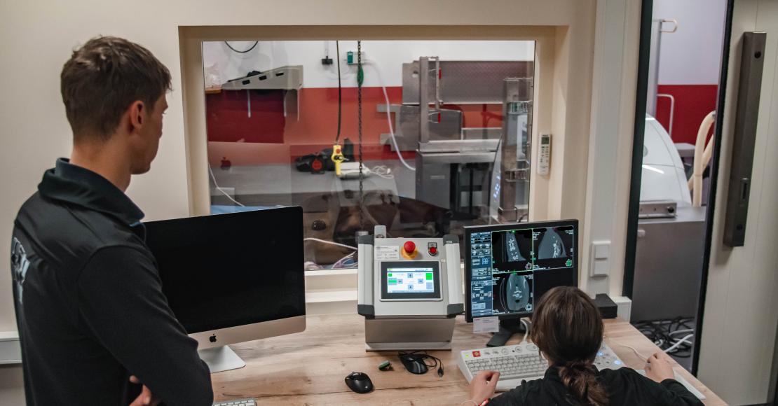 Railtechniek_monorail_horse_health_chainhoist_7